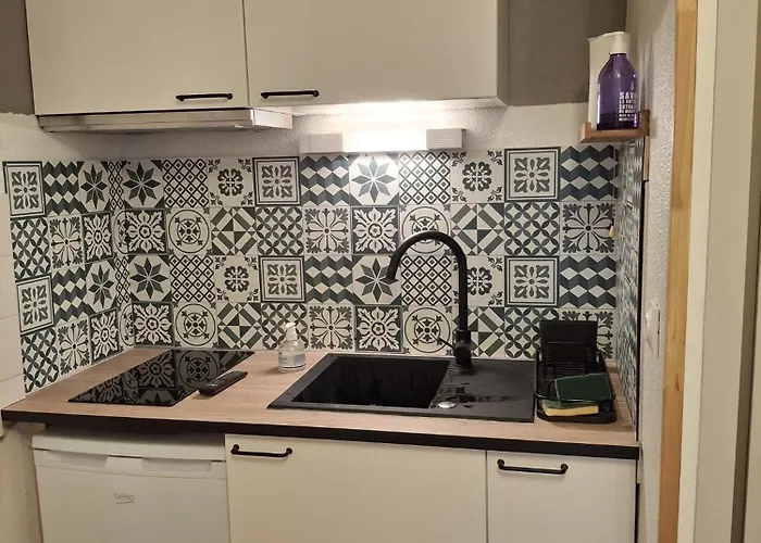 شقة Petit Ours I N10 2p5